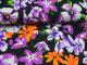 32sx32s Printed Rayon Voile