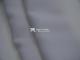 30sx30s Rayon Voile