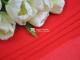 (20D+26D)Composite chiffon 