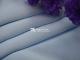 50D Stripe chiffon
