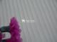 (20D+26D) Composite chiffon Crepe