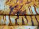 75D Chiffon